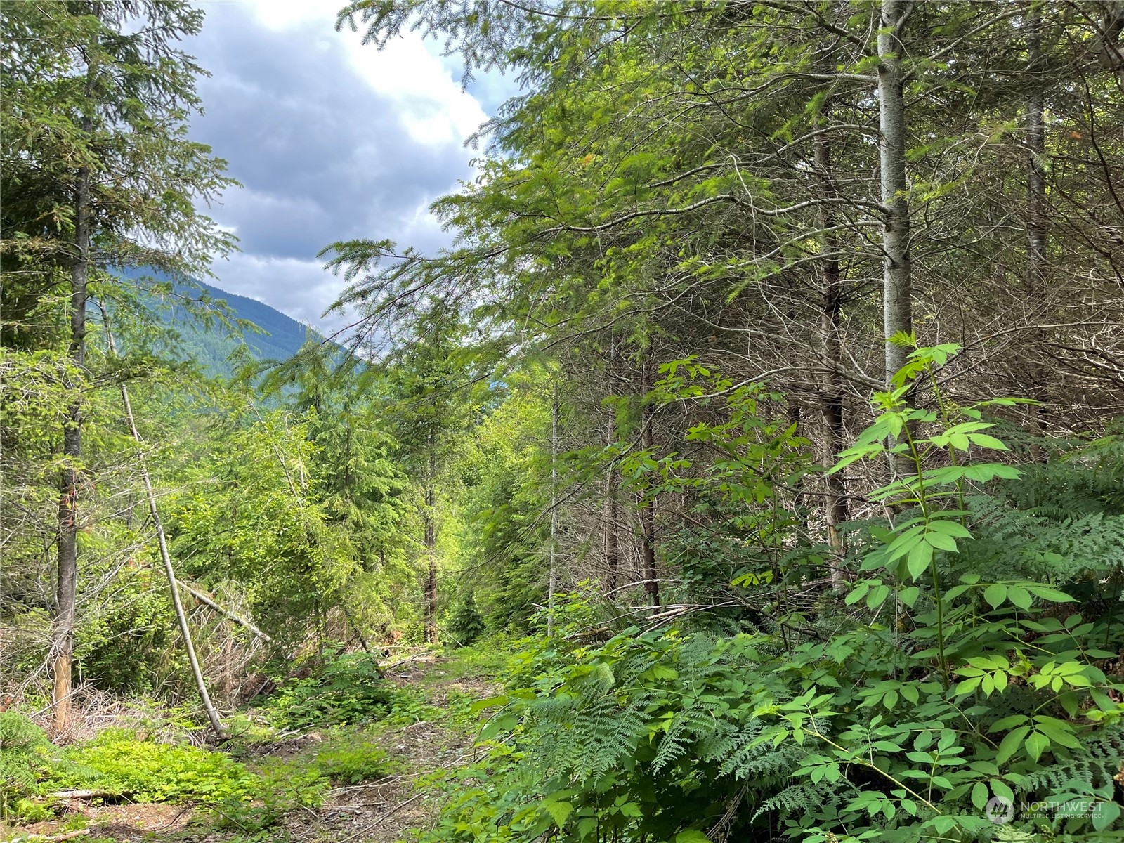 0 XX Anthracite Creek Road