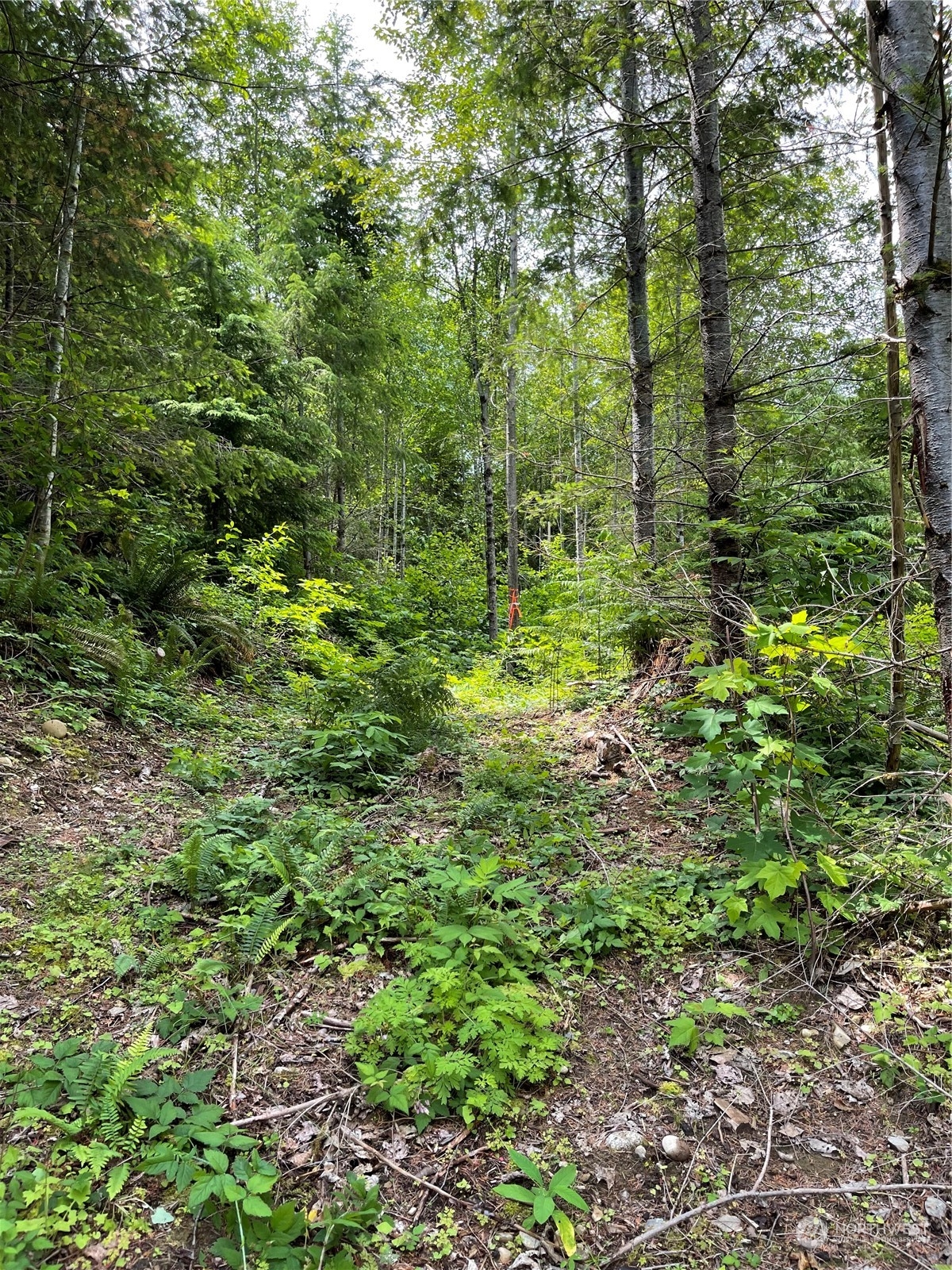 0 XX Anthracite Creek Road