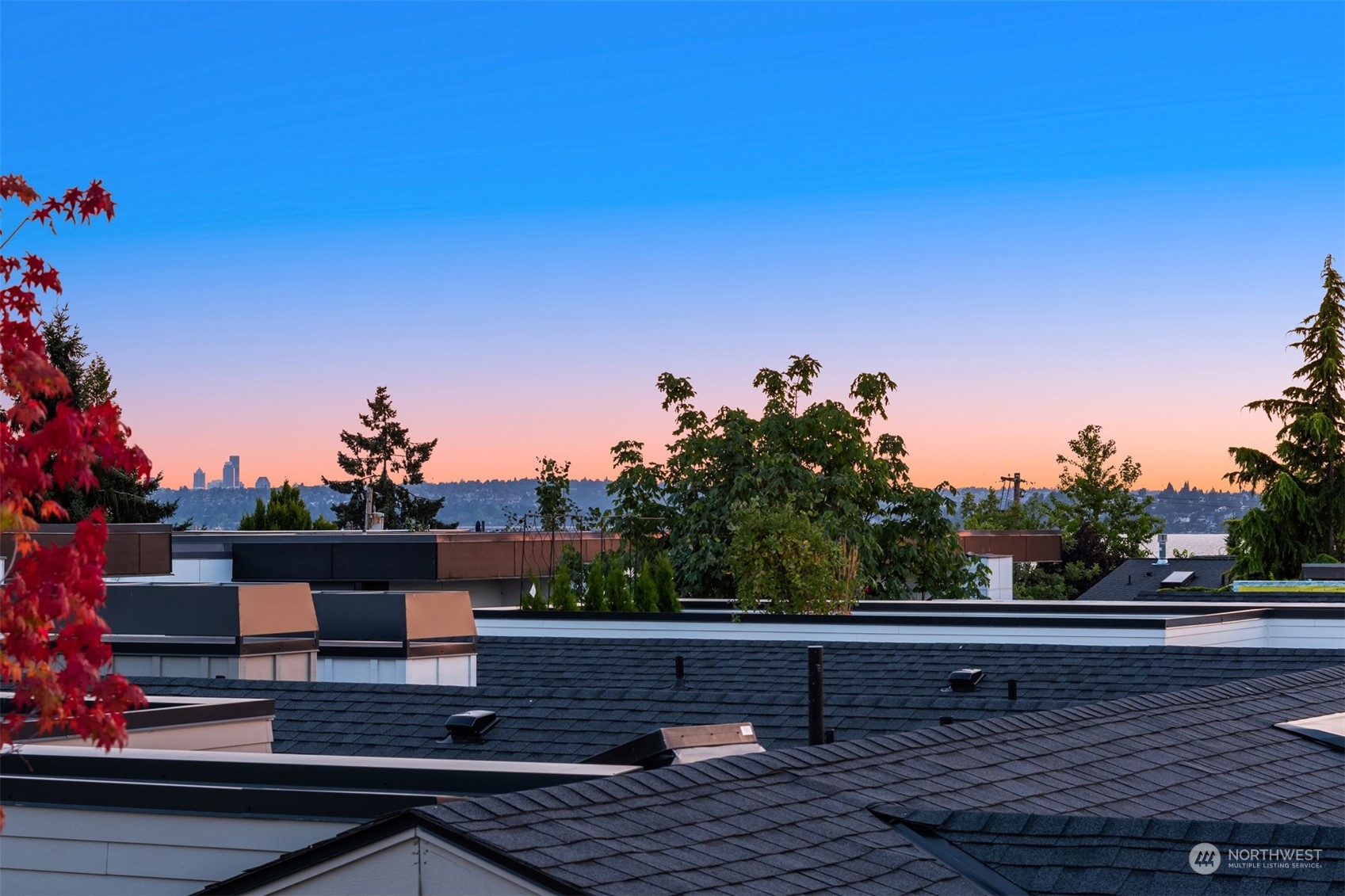 231 3rd Avenue S