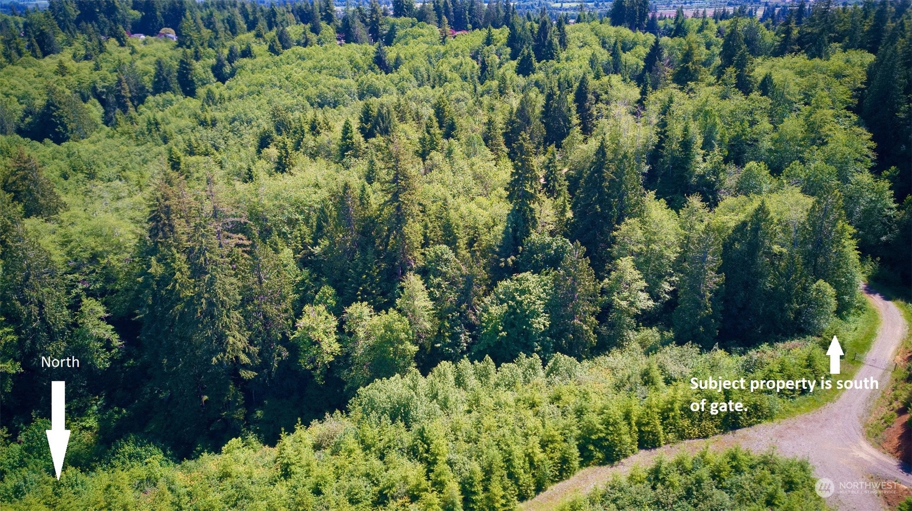 12 x Cedarwood Drive