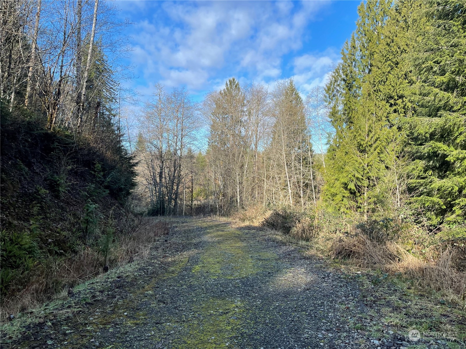 12 x Cedarwood Drive