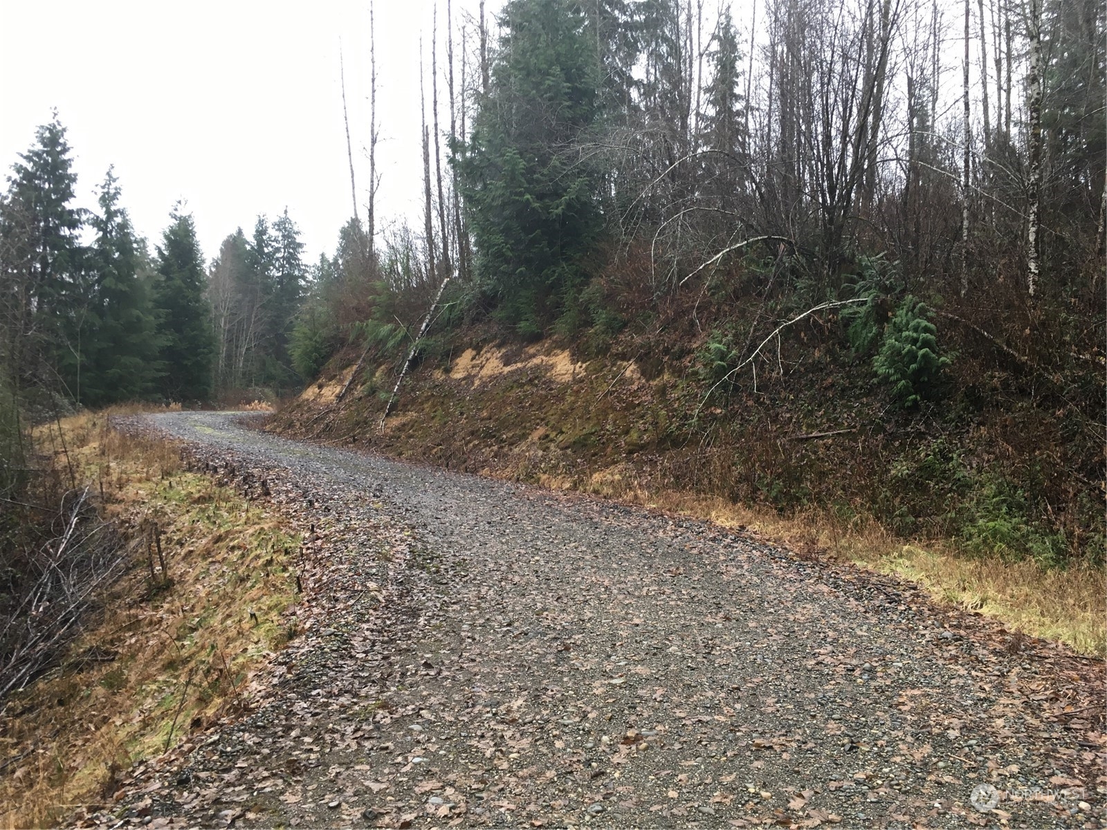 12 x Cedarwood Drive
