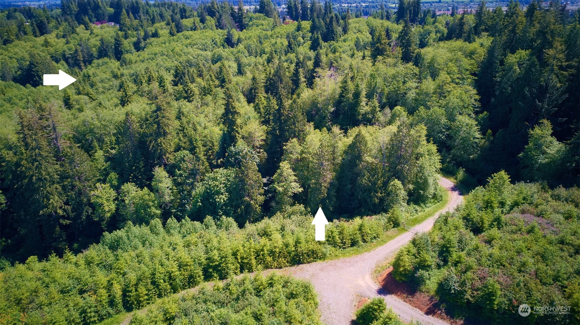 12 x Cedarwood Drive
