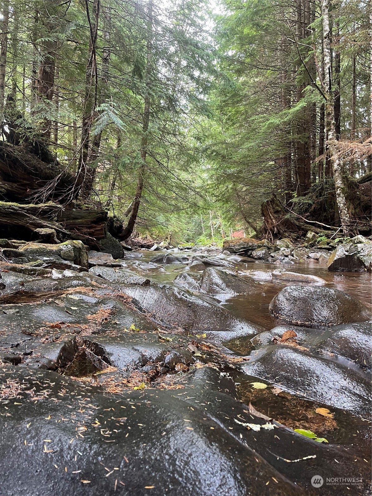 2 XX Cayada Creek Road - USFS 7810