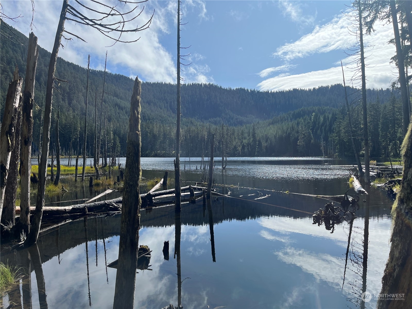 2 XX Cayada Creek Road - USFS 7810