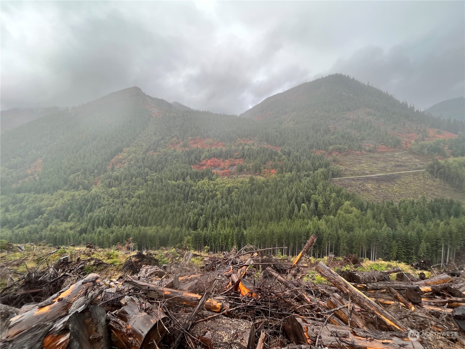 3 XX Cayada Creek Road - USFS 7810