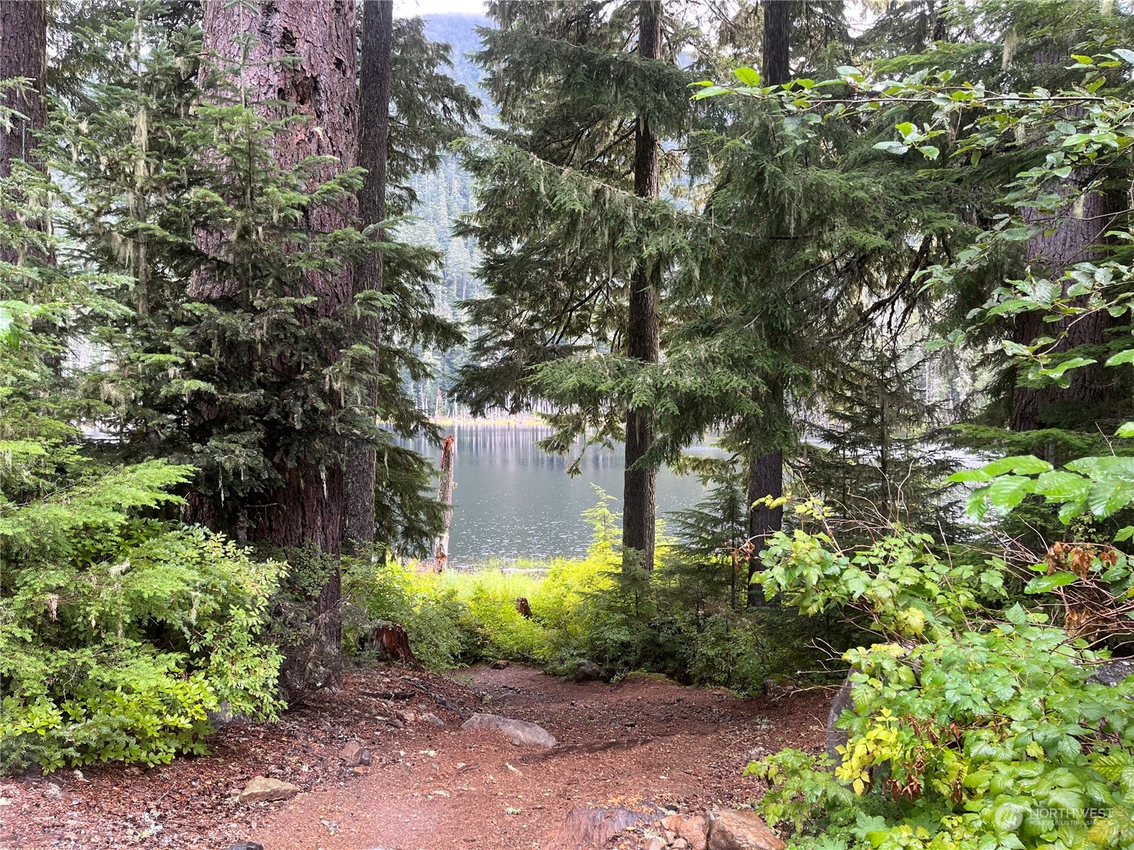 3 XX Cayada Creek Road - USFS 7810