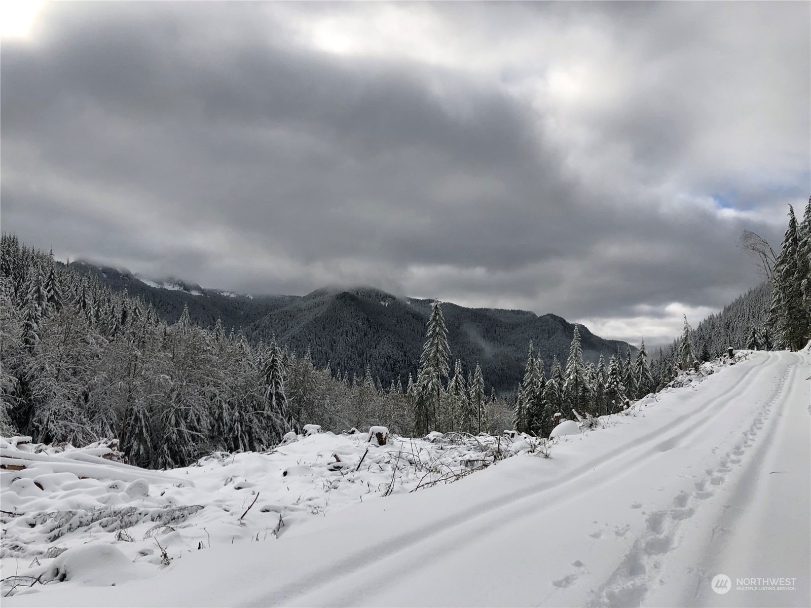 4 XX Cayada Creek Road - USFS 7810