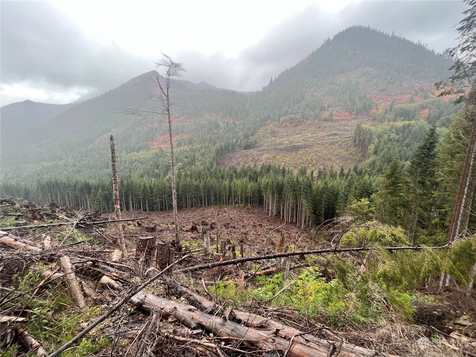4 XX Cayada Creek Road - USFS 7810