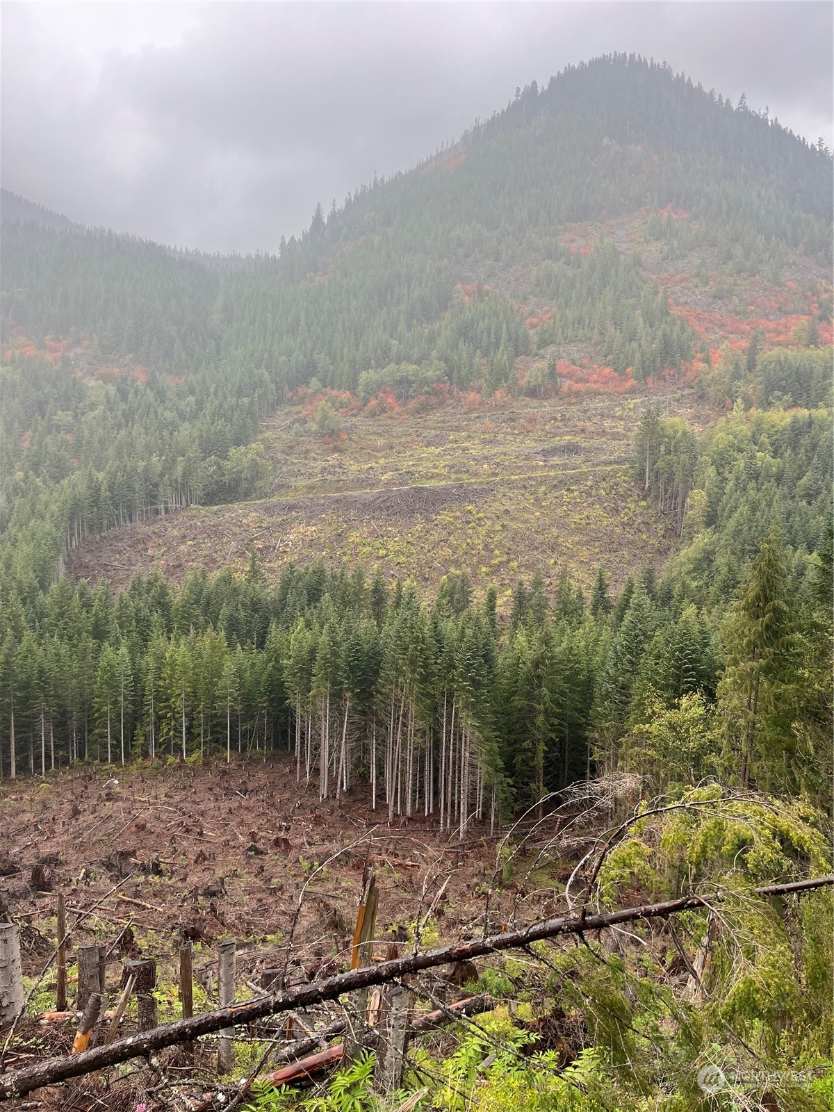 4 XX Cayada Creek Road - USFS 7810