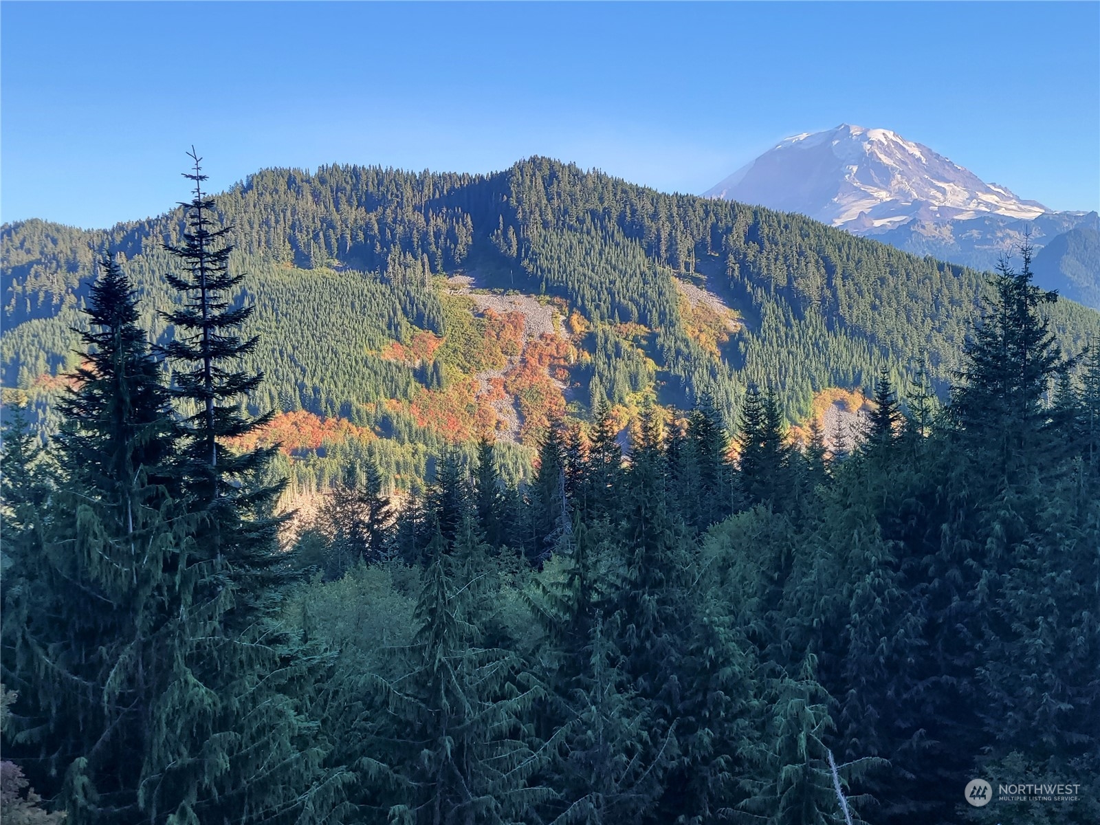 4 XX Cayada Creek Road - USFS 7810