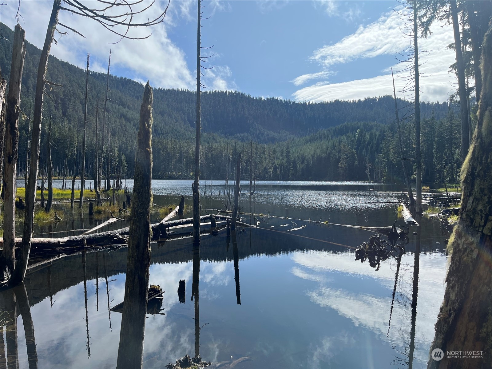 4 XX Cayada Creek Road - USFS 7810