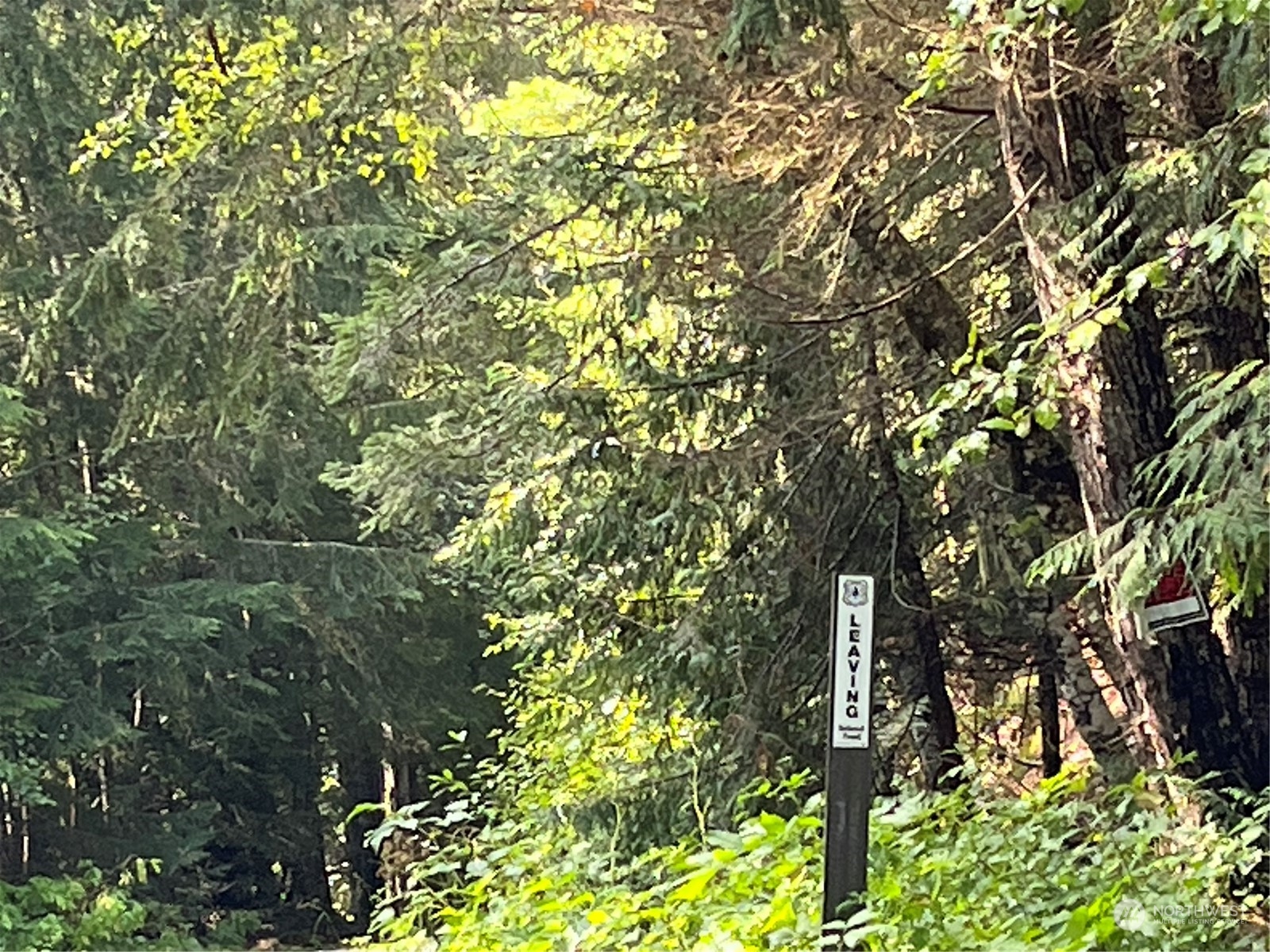 4 XX Cayada Creek Road - USFS 7810