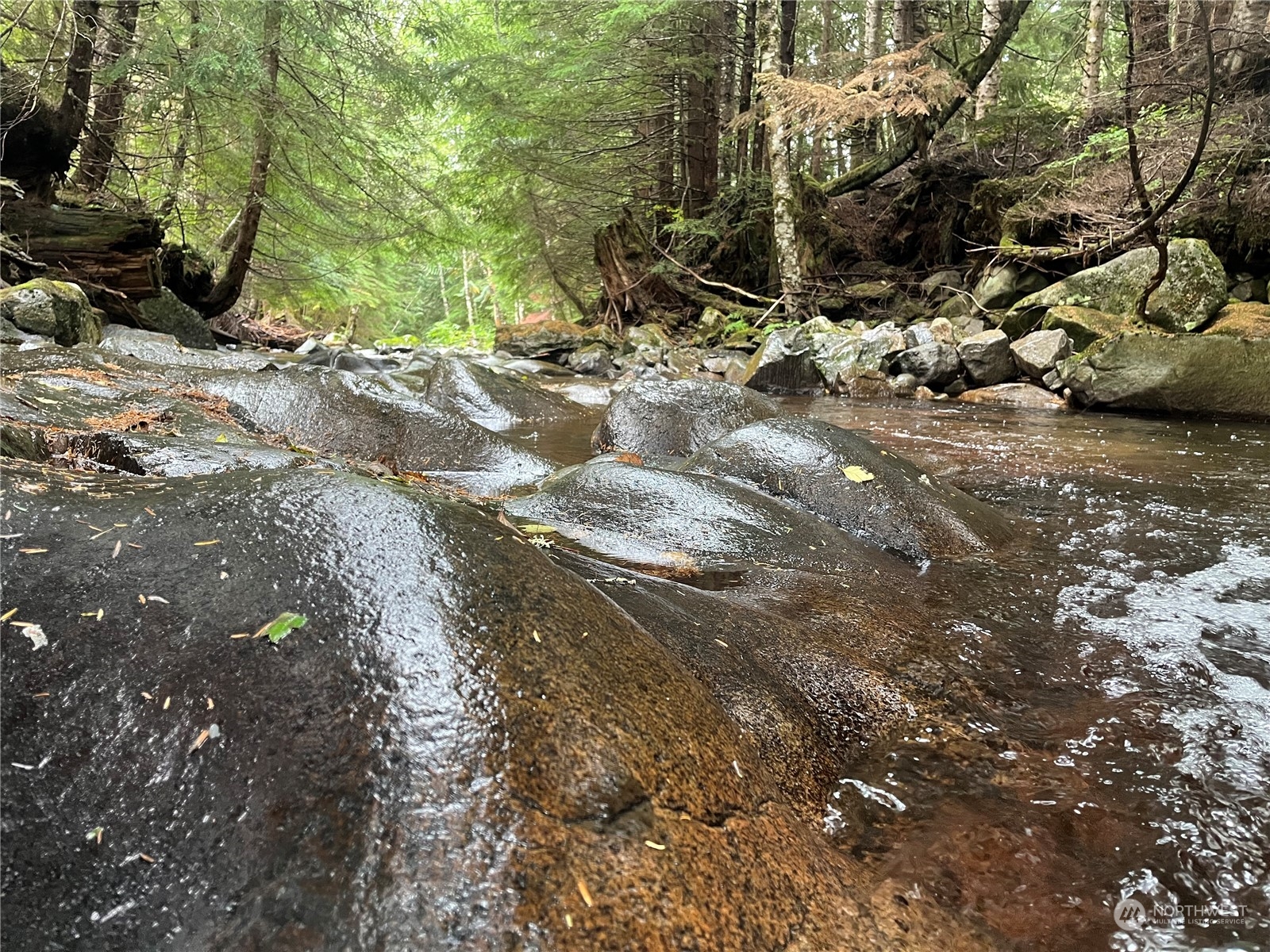 4 XX Cayada Creek Road - USFS 7810