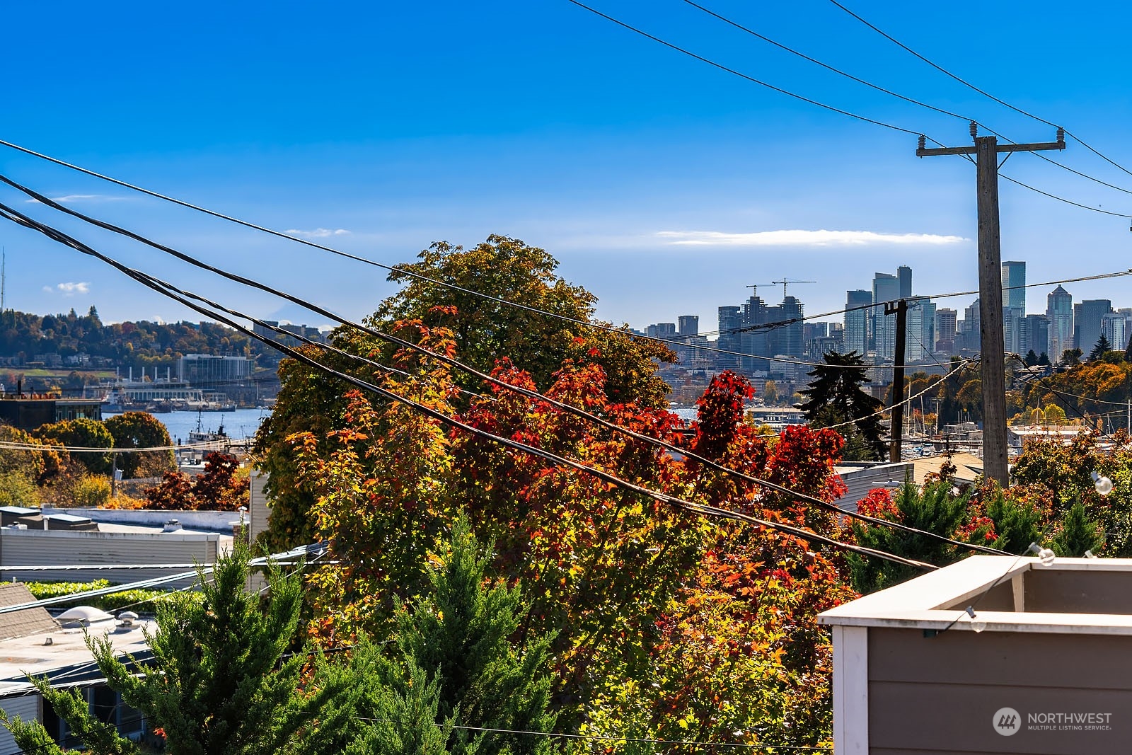 3619 Albion Place N Unit: B