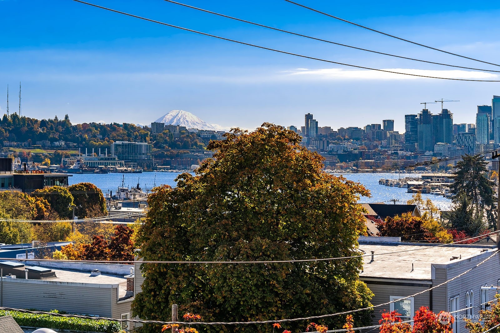 3619 Albion Place N Unit: B