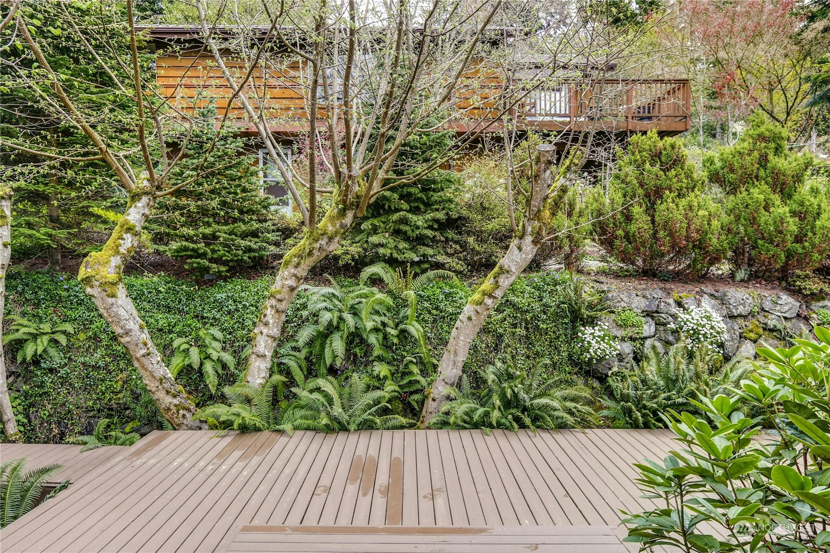 4323 Carol Lane