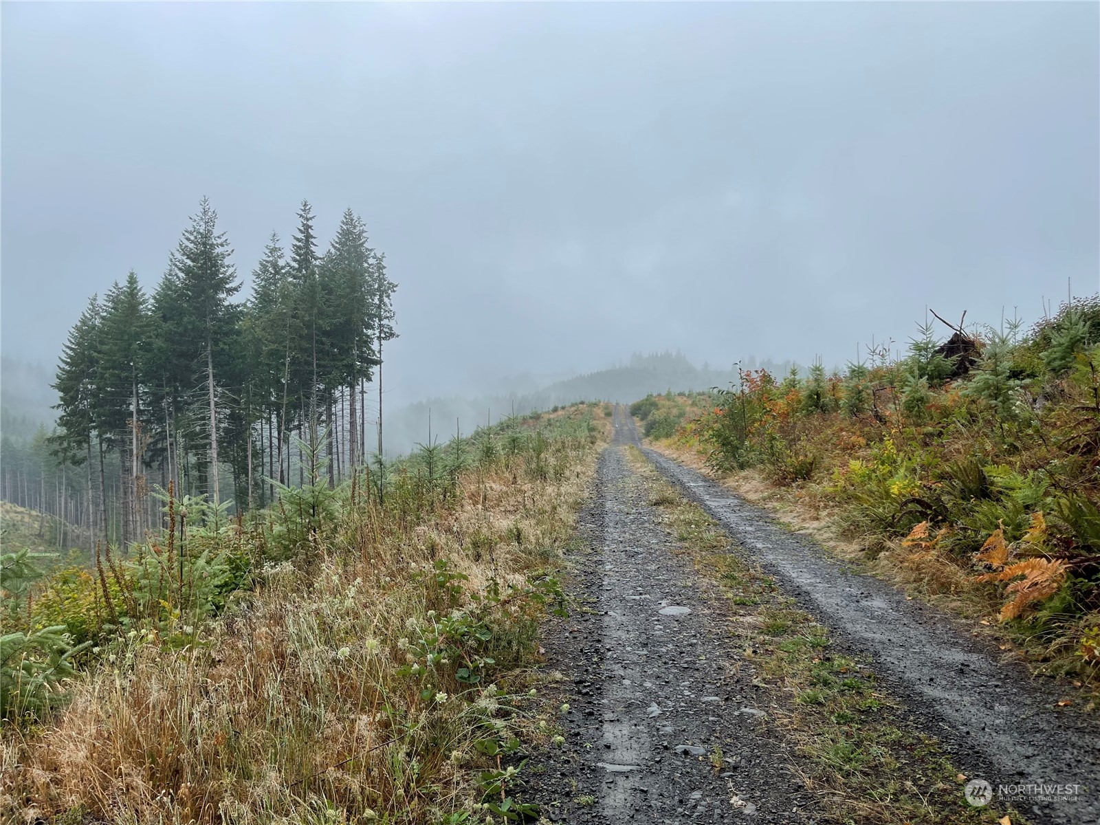 58 xx State Route 6