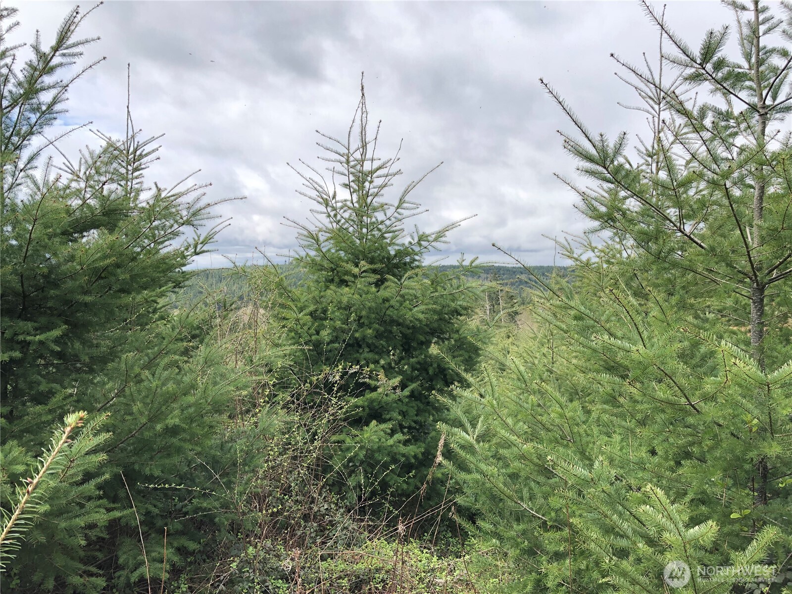 217 XX Thompson Creek Road