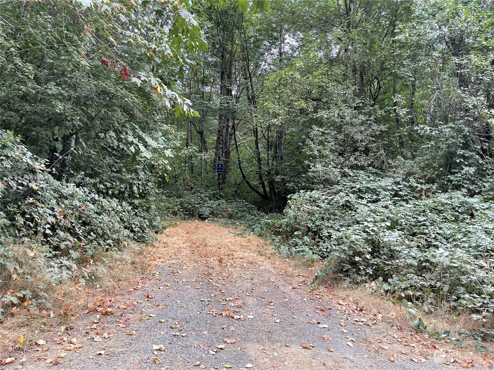 217 XX Thompson Creek Road
