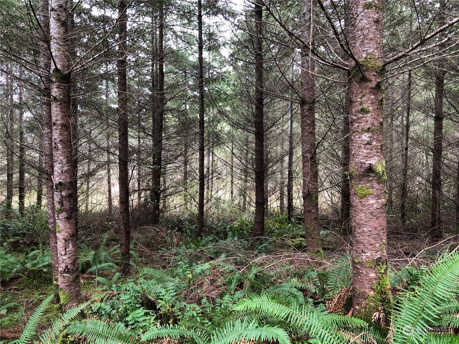 217 XX Thompson Creek Road