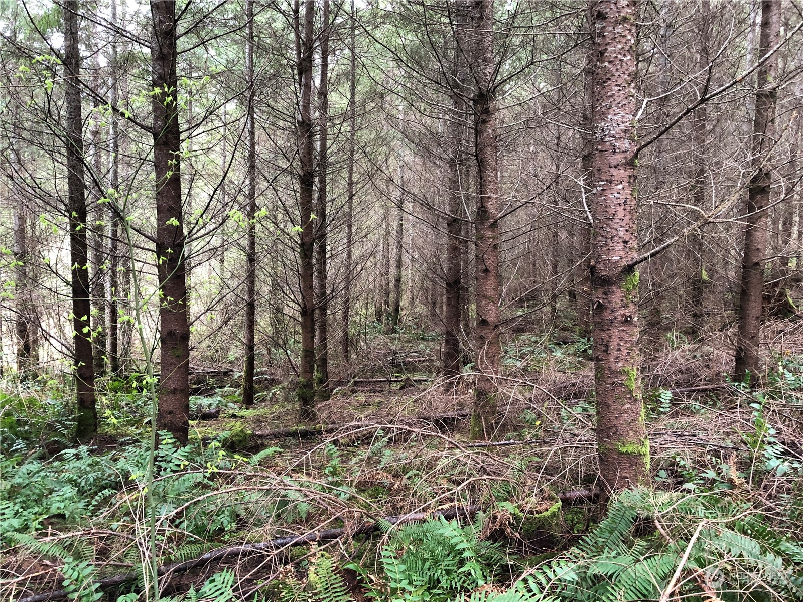 217 XX Thompson Creek Road