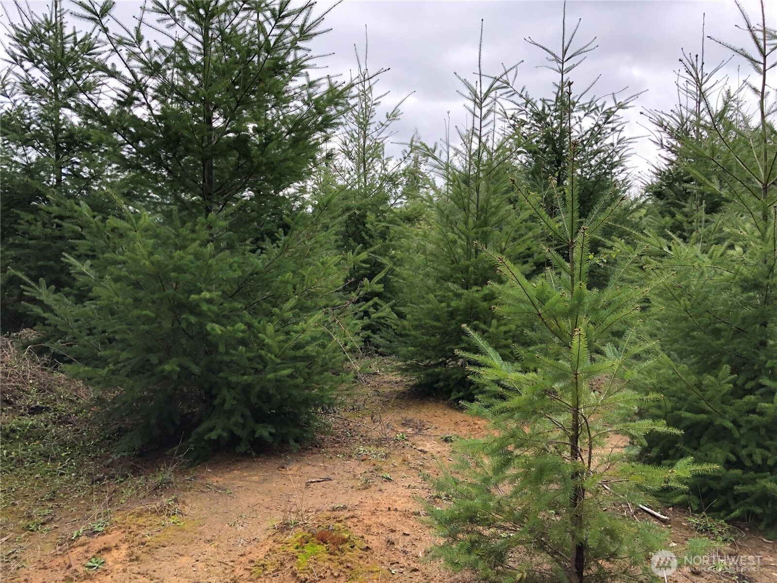 217 XX Thompson Creek Road