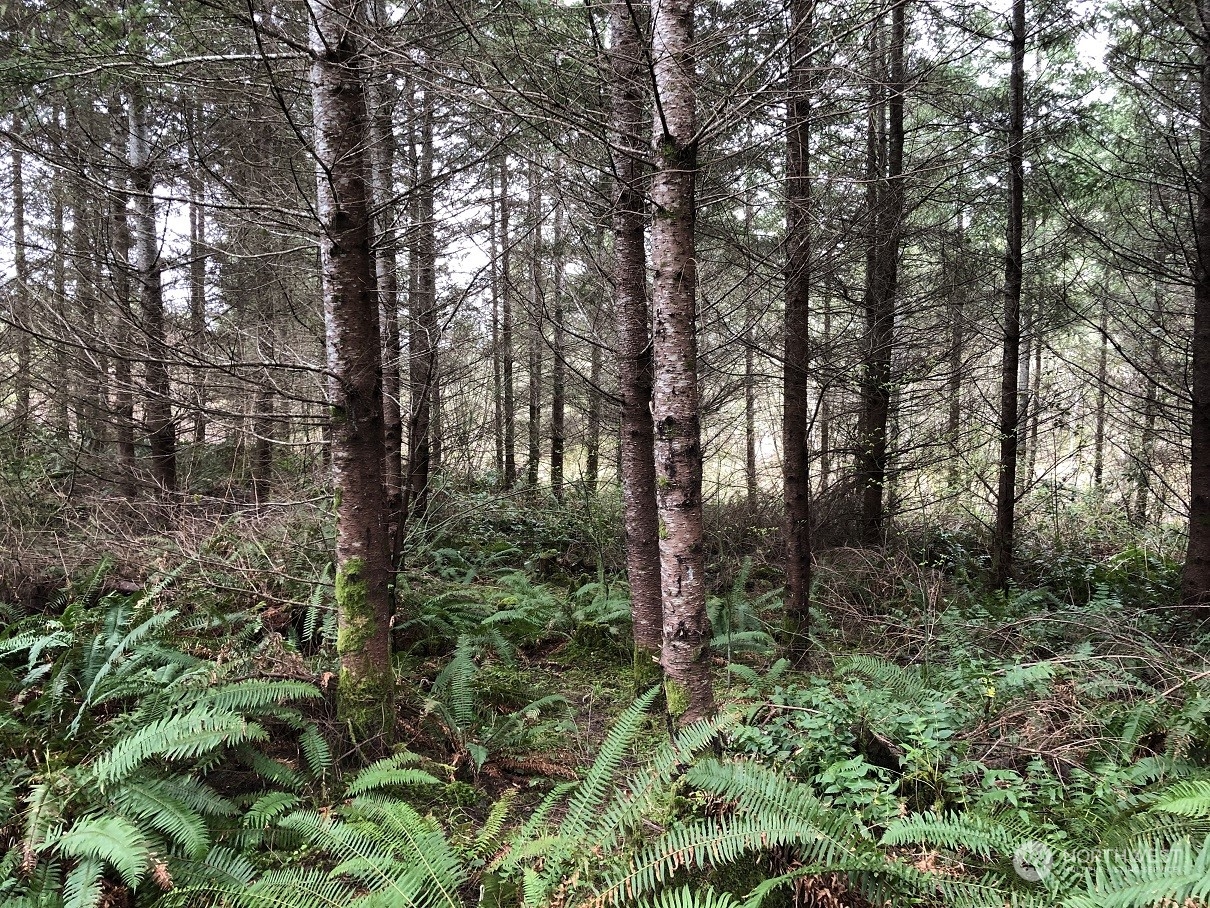 217 XX Thompson Creek Road