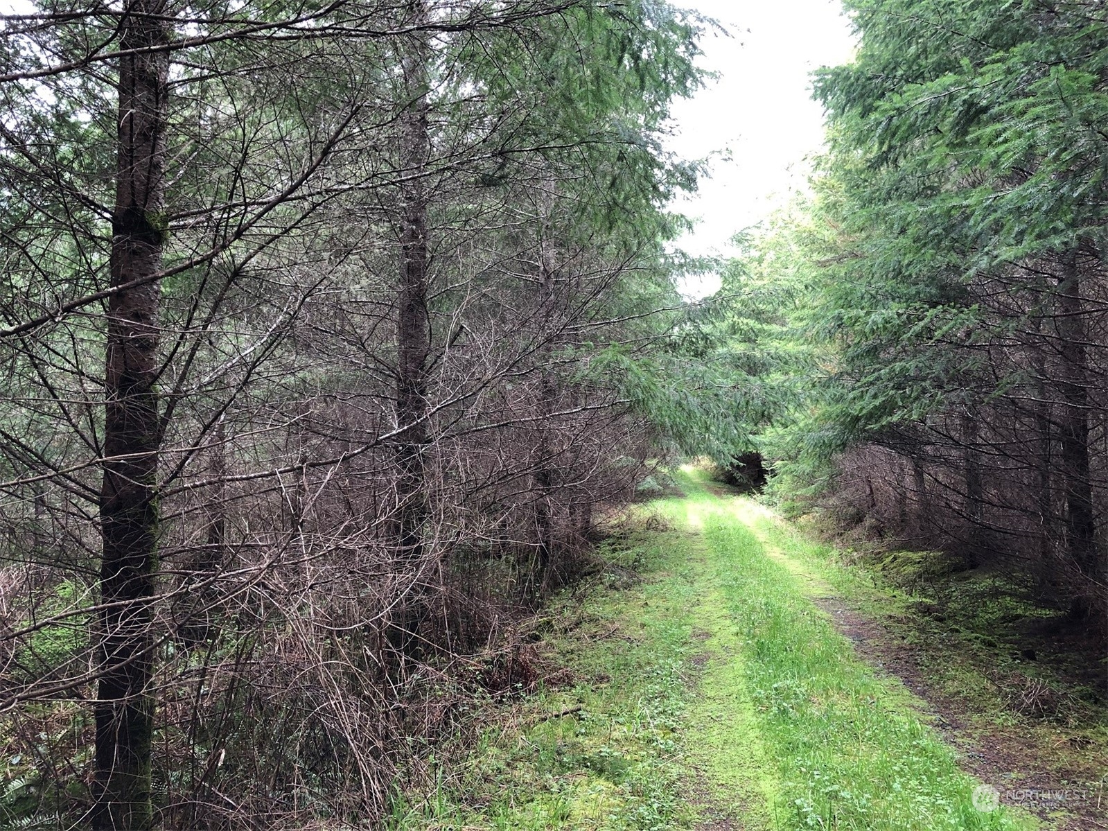 217 XX Thompson Creek Road