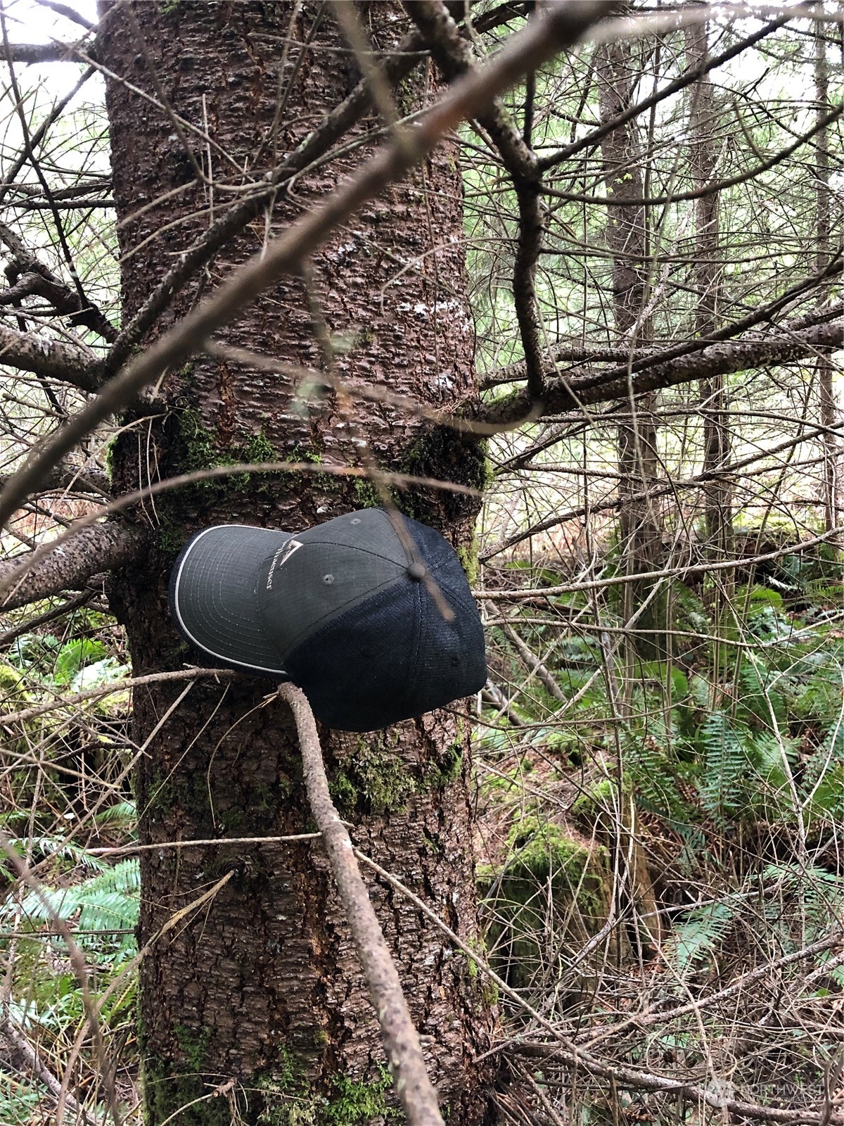 217 XX Thompson Creek Road