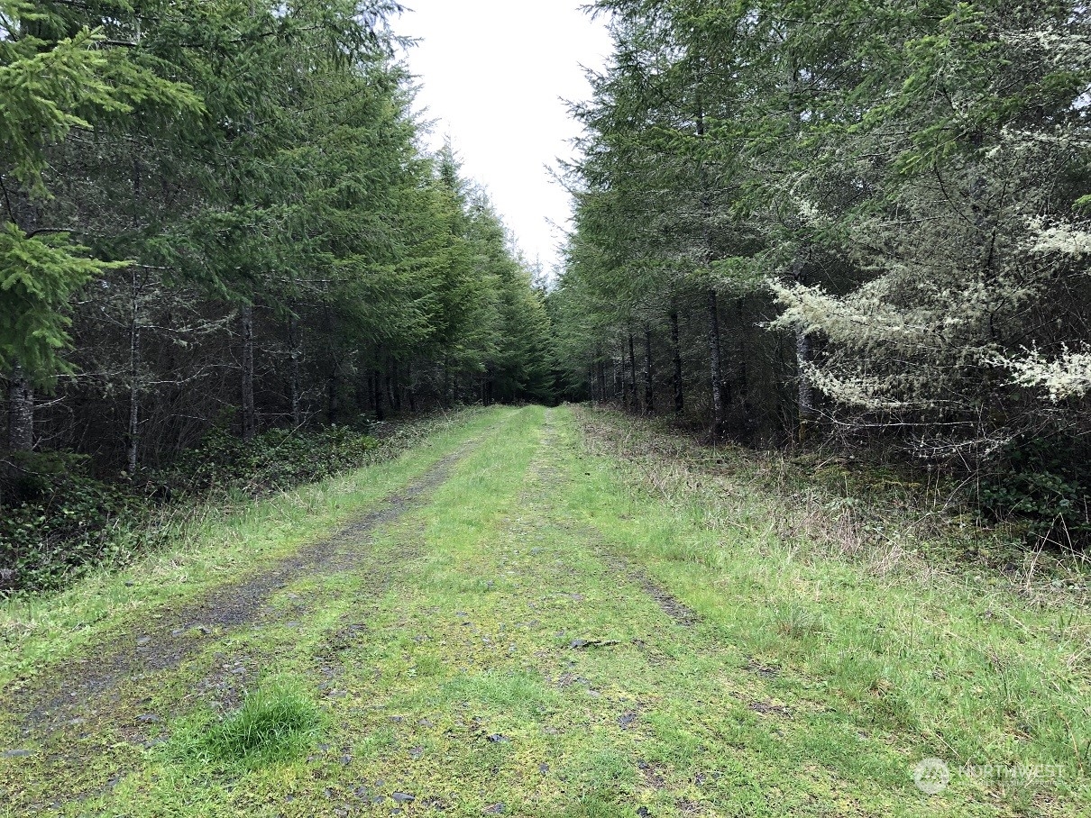 217 XX Thompson Creek Road