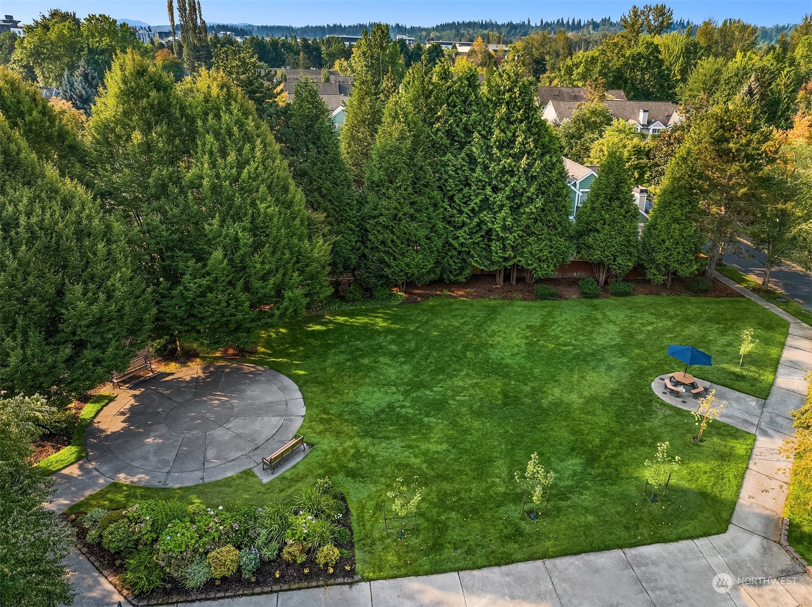 15823 NE 90th Way Unit: 804
