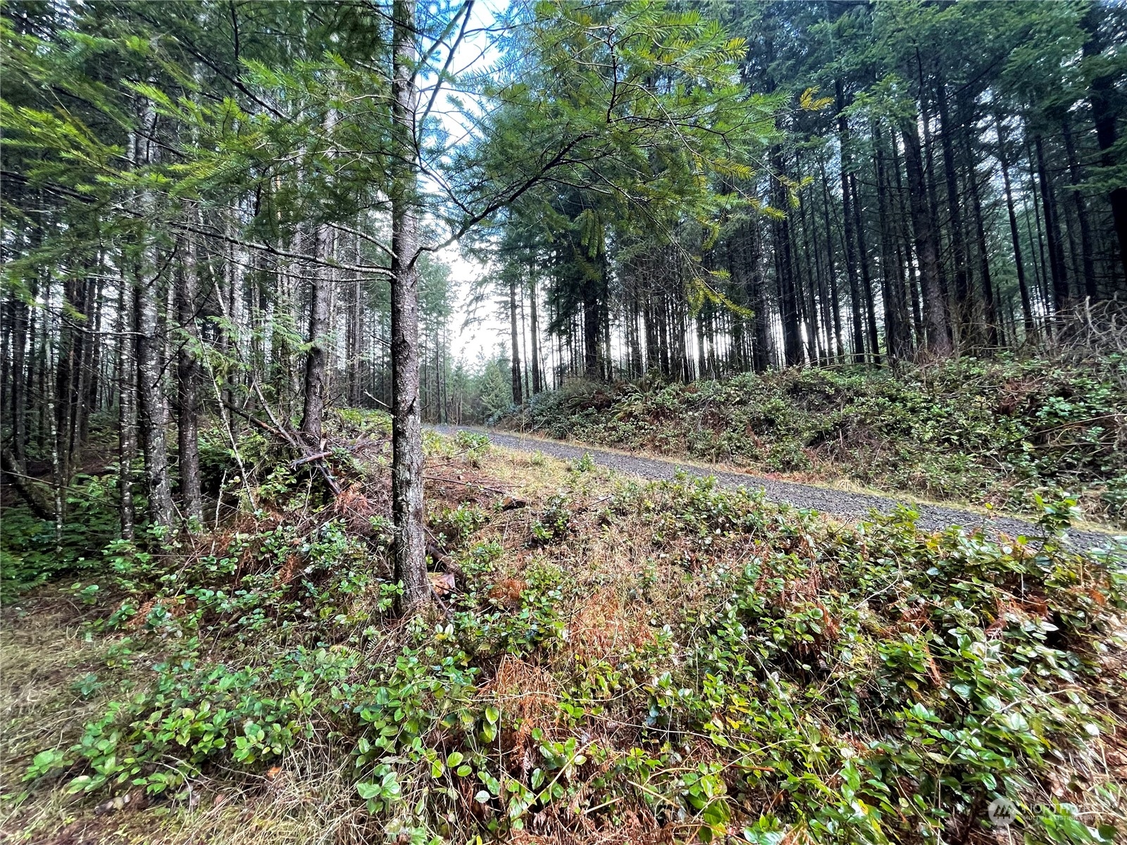 0 Lot A NE Westerholm Road