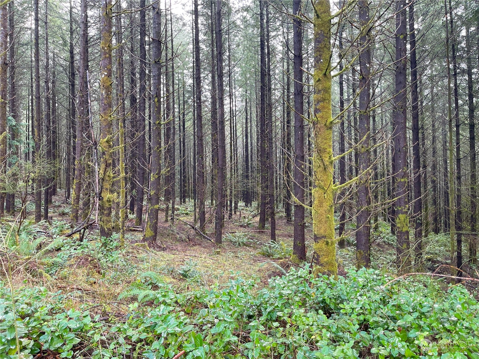 0 Lot A NE Westerholm Road