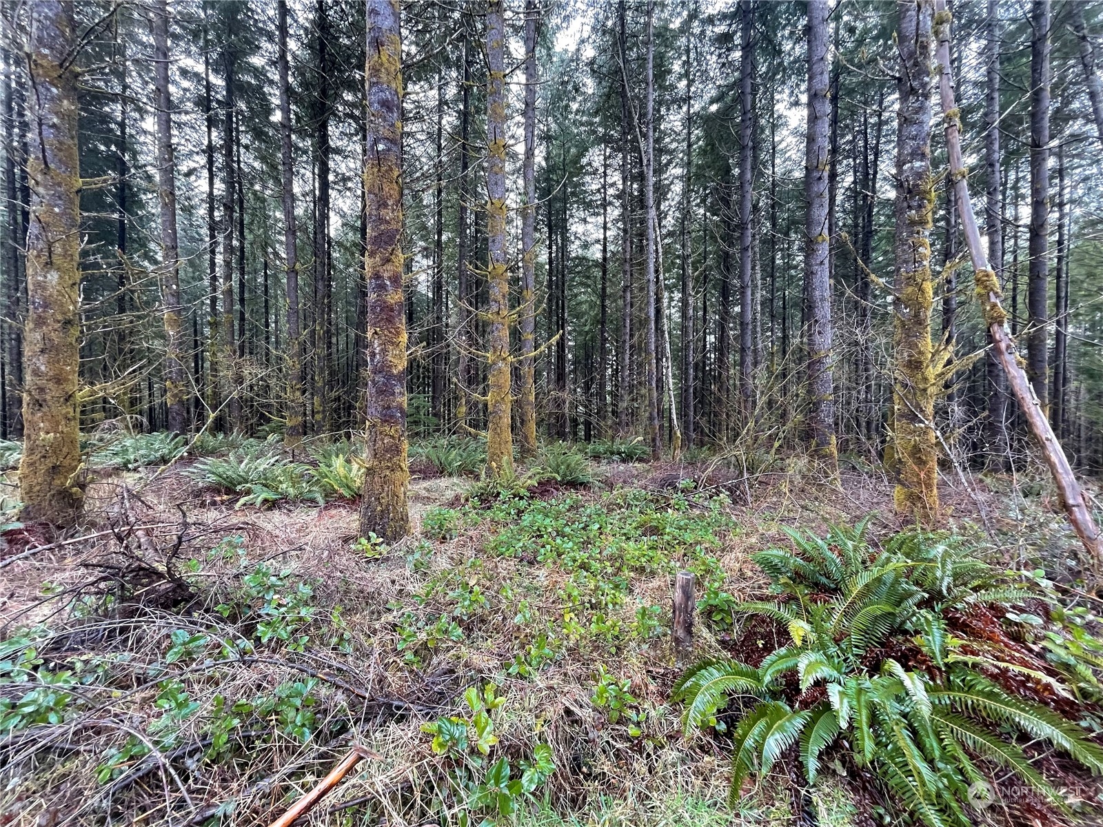 0 Lot A NE Westerholm Road