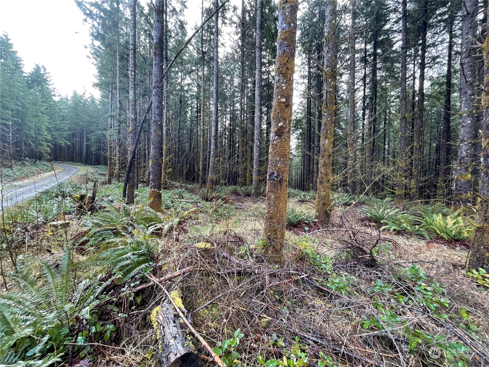 0 Lot A NE Westerholm Road