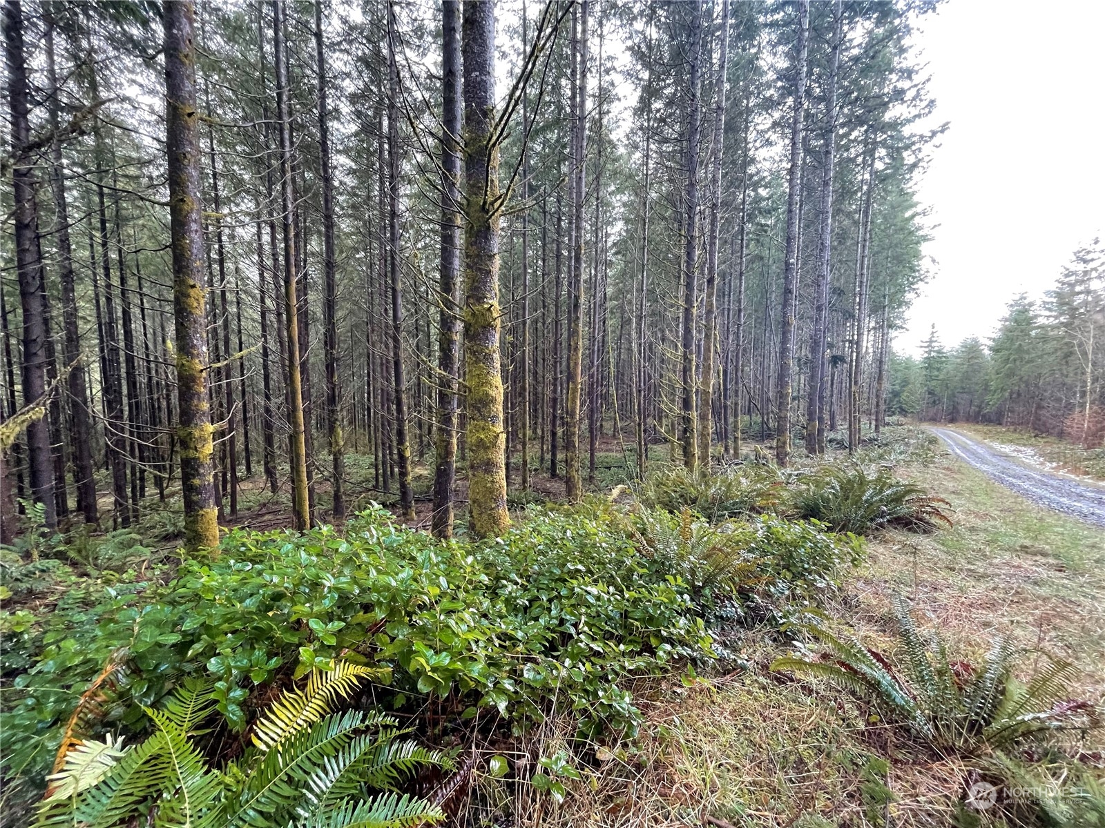 0 Lot A NE Westerholm Road