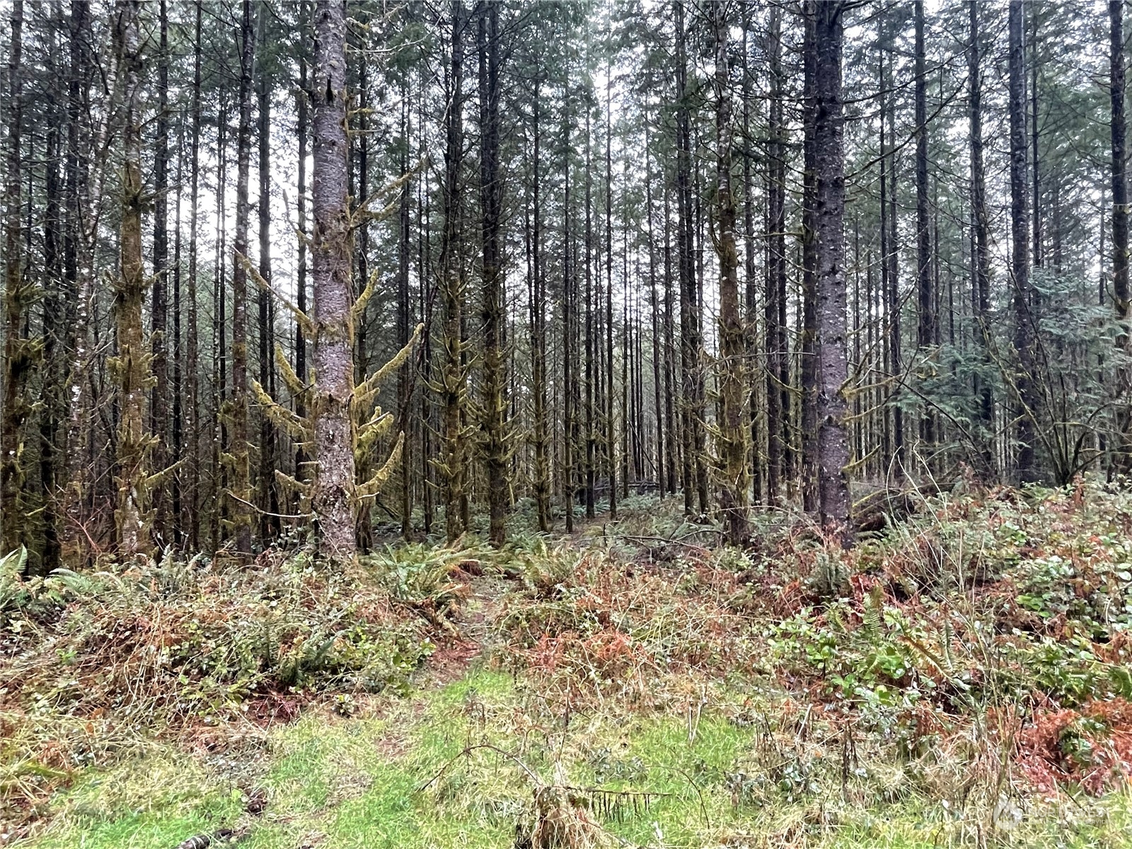 0 Lot A NE Westerholm Road