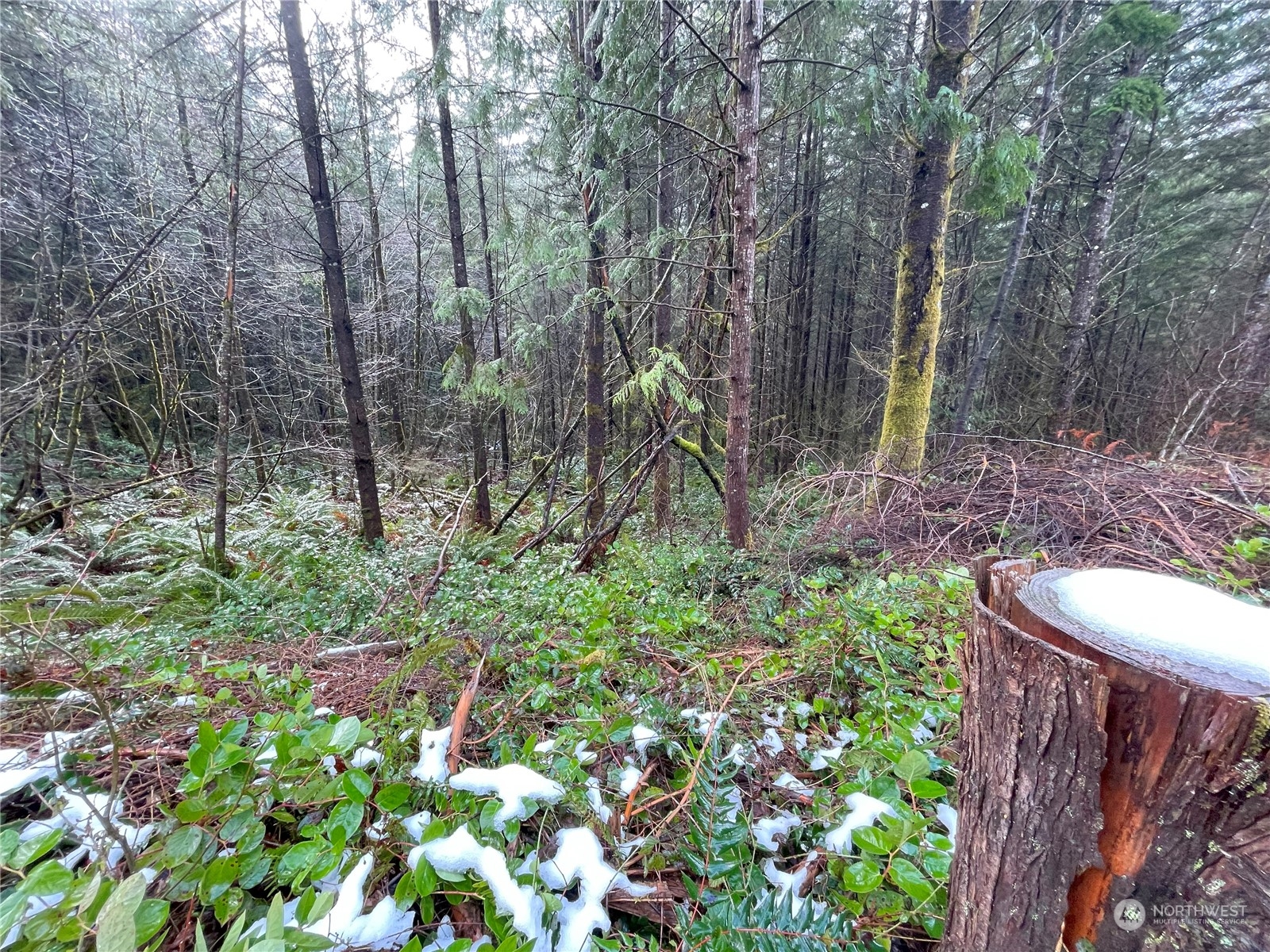 0 Lot D NE Westerholm Road