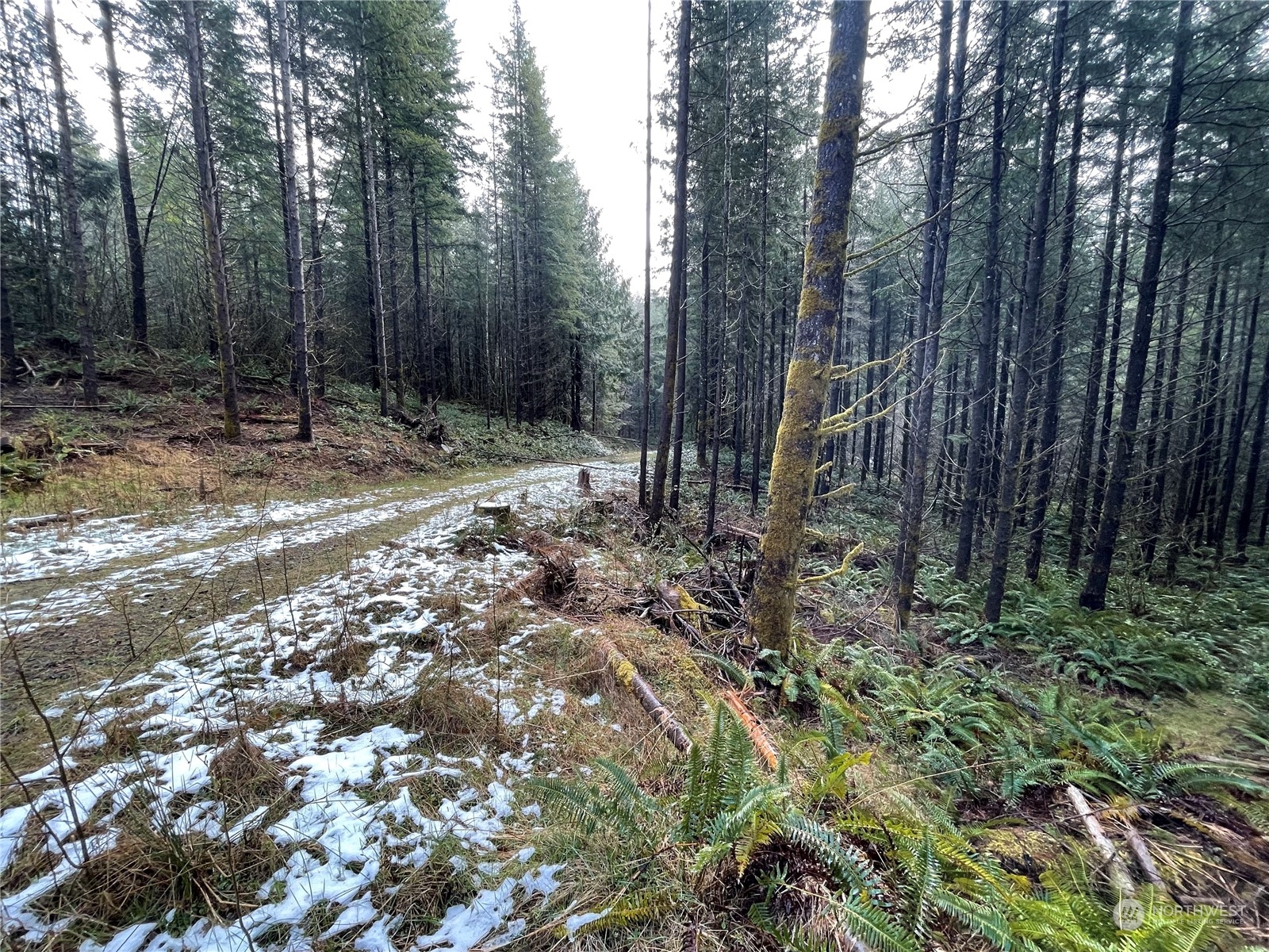 0 Lot D NE Westerholm Road