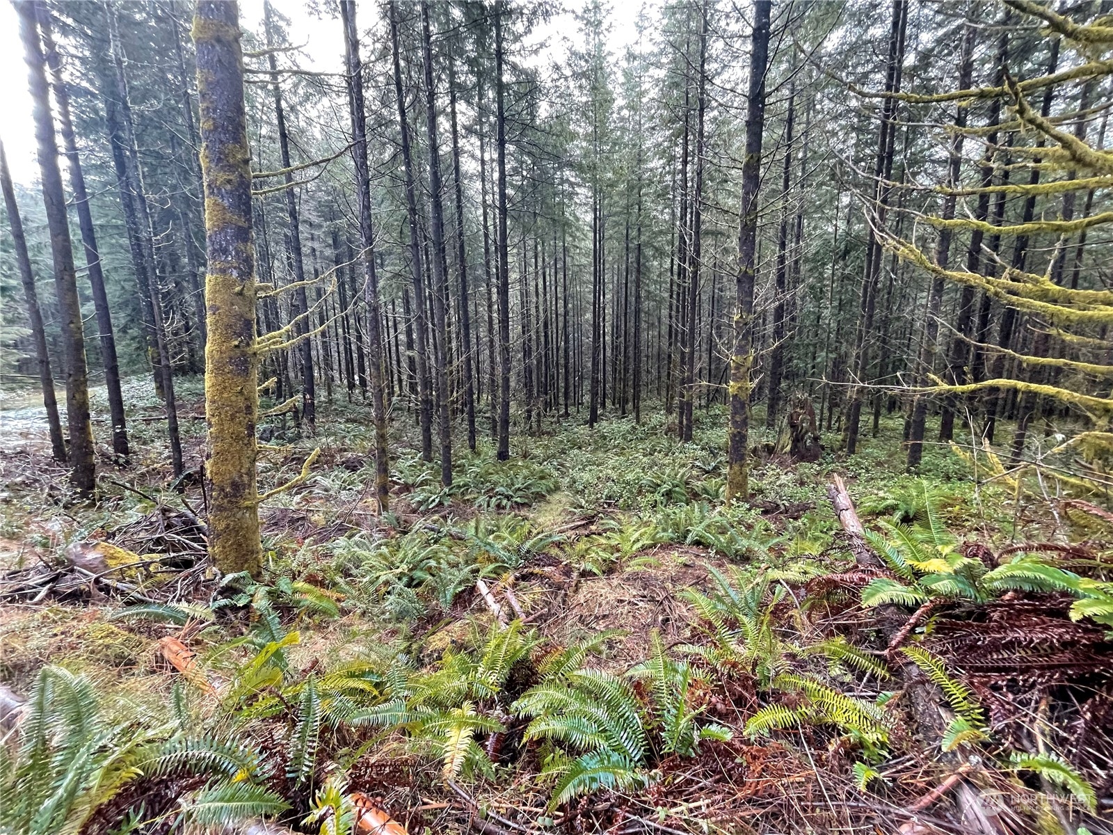 0 Lot D NE Westerholm Road
