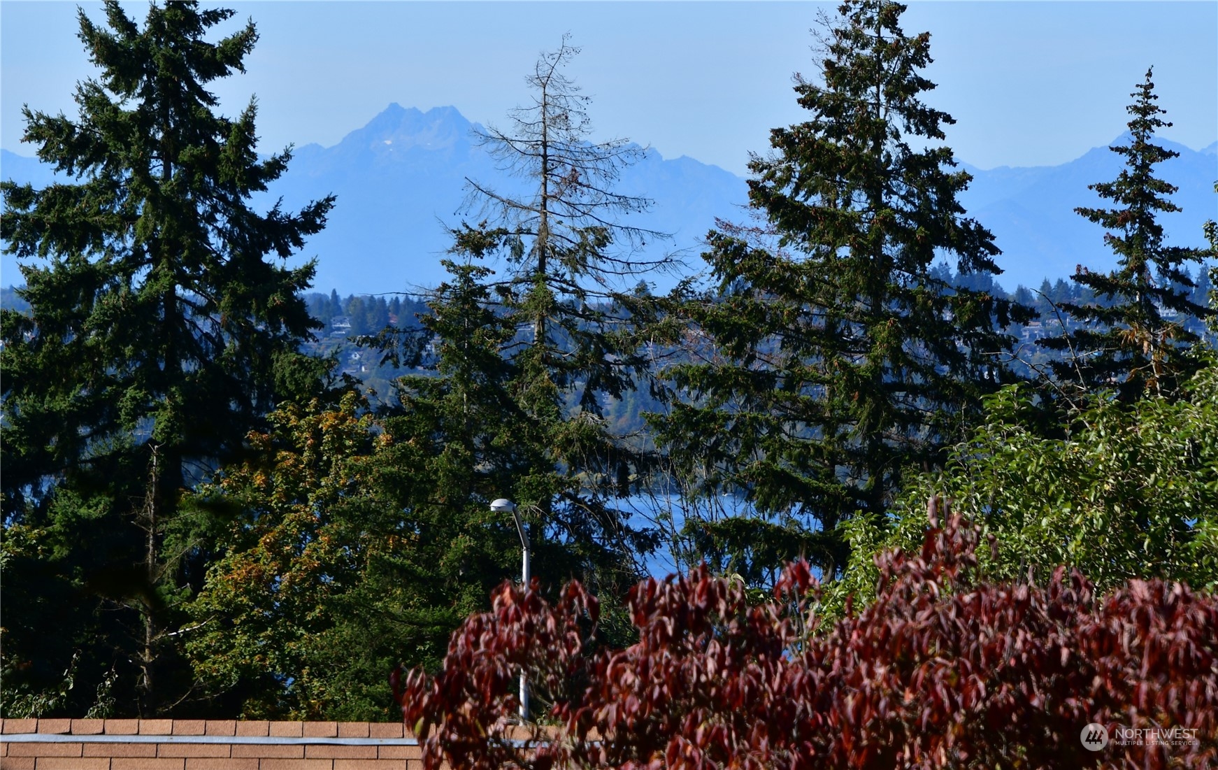 11822 NE 80th Street Unit: 7