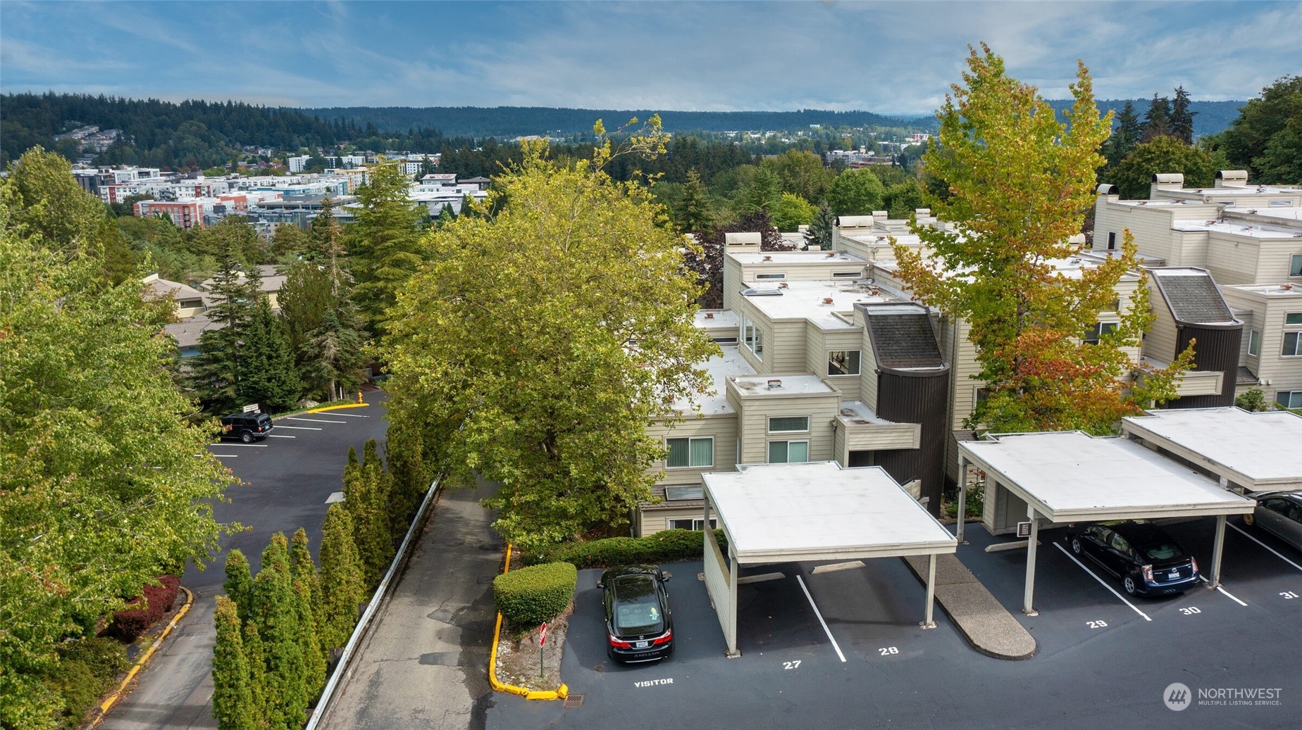 7419 Old Redmond Road Unit: 204