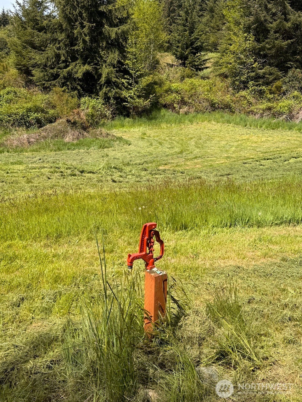 4434 Pacific Dogwood Drive