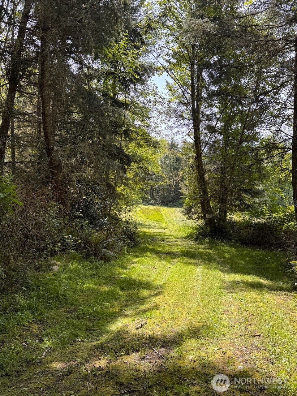 4434 Pacific Dogwood Drive