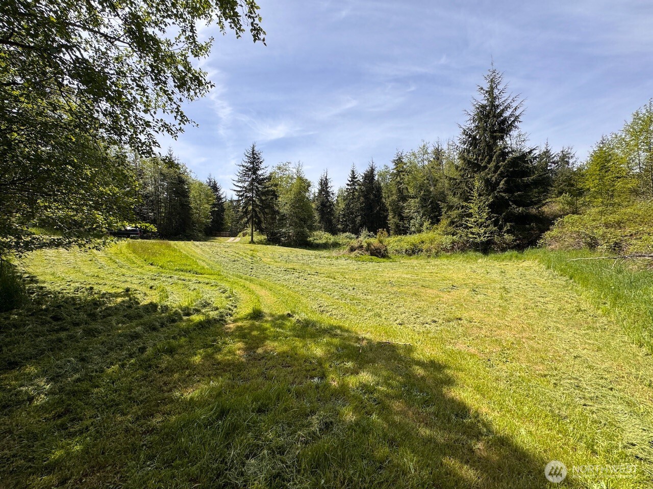 4434 Pacific Dogwood Drive