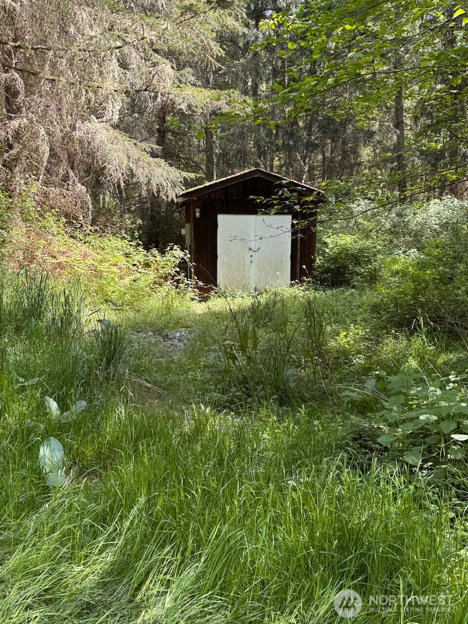 4434 Pacific Dogwood Drive