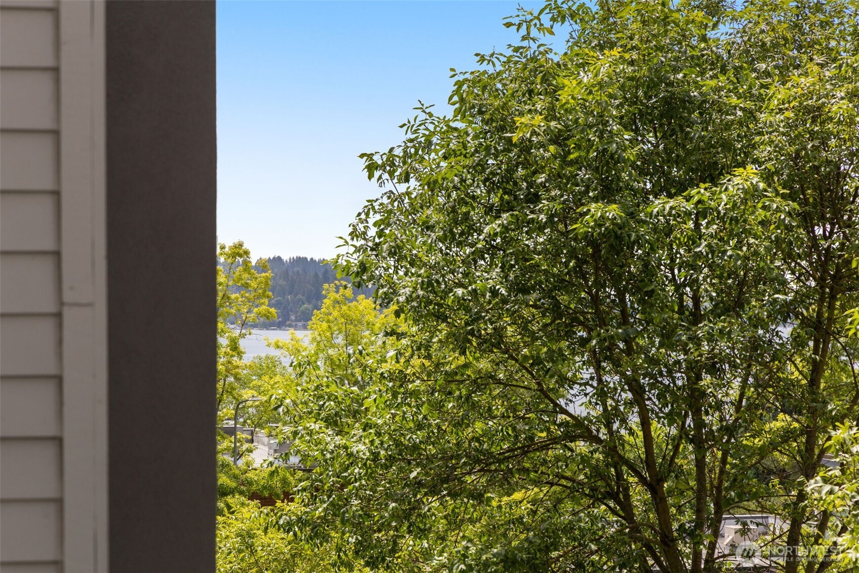 220 1st Street Unit: 204