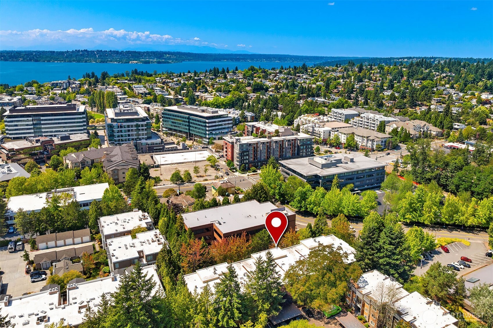 703 4th Avenue Unit: 206