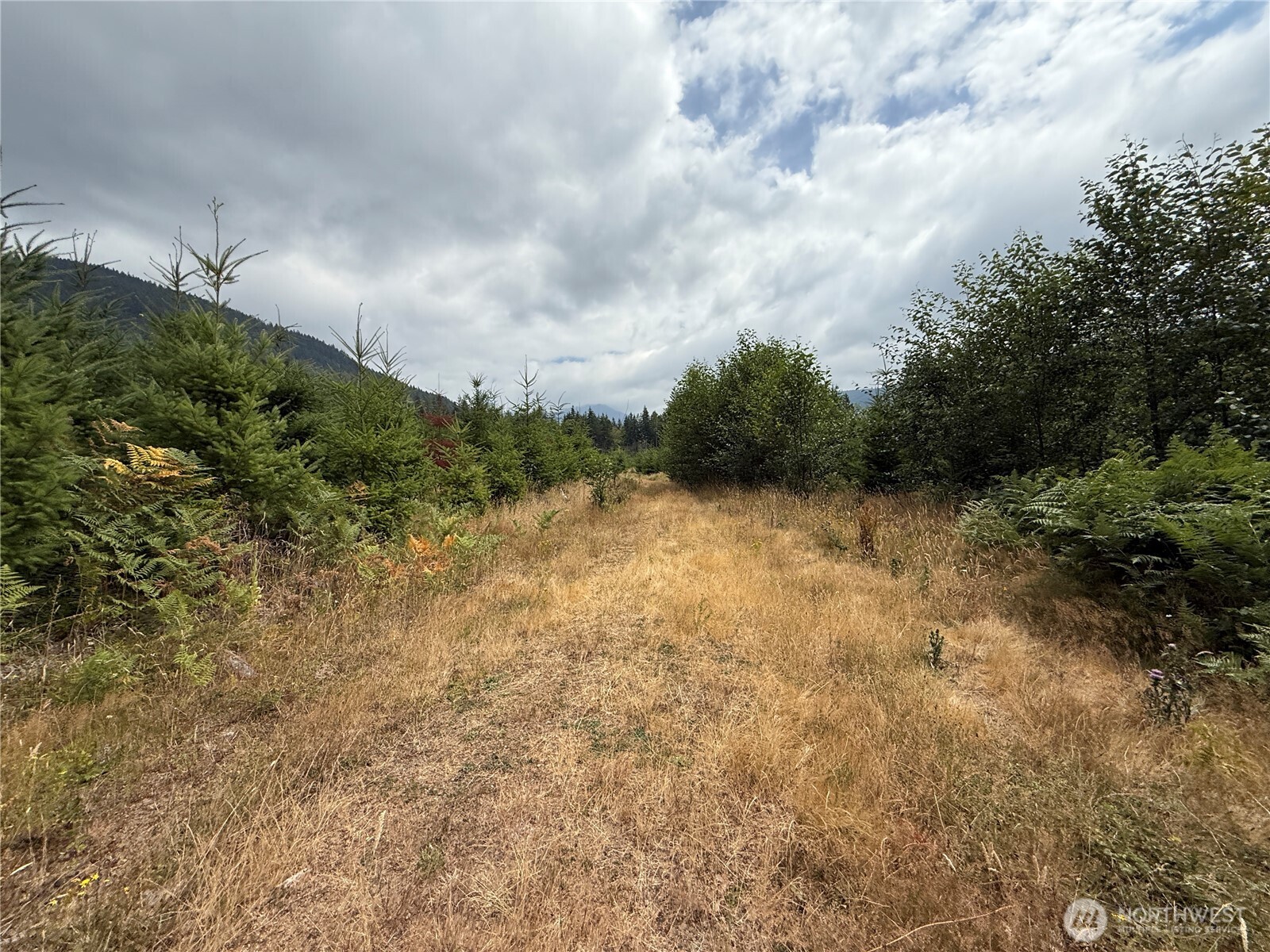 327 xx Kolisch Road E